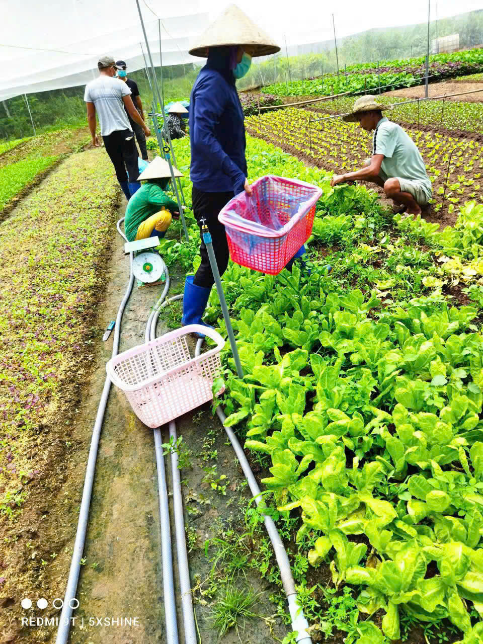 CÔNG TY TNHH THỰC PHẨM HAPPY FARM